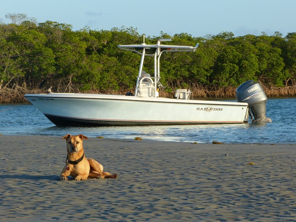 Click to See Next Image